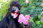 lola may dolce news